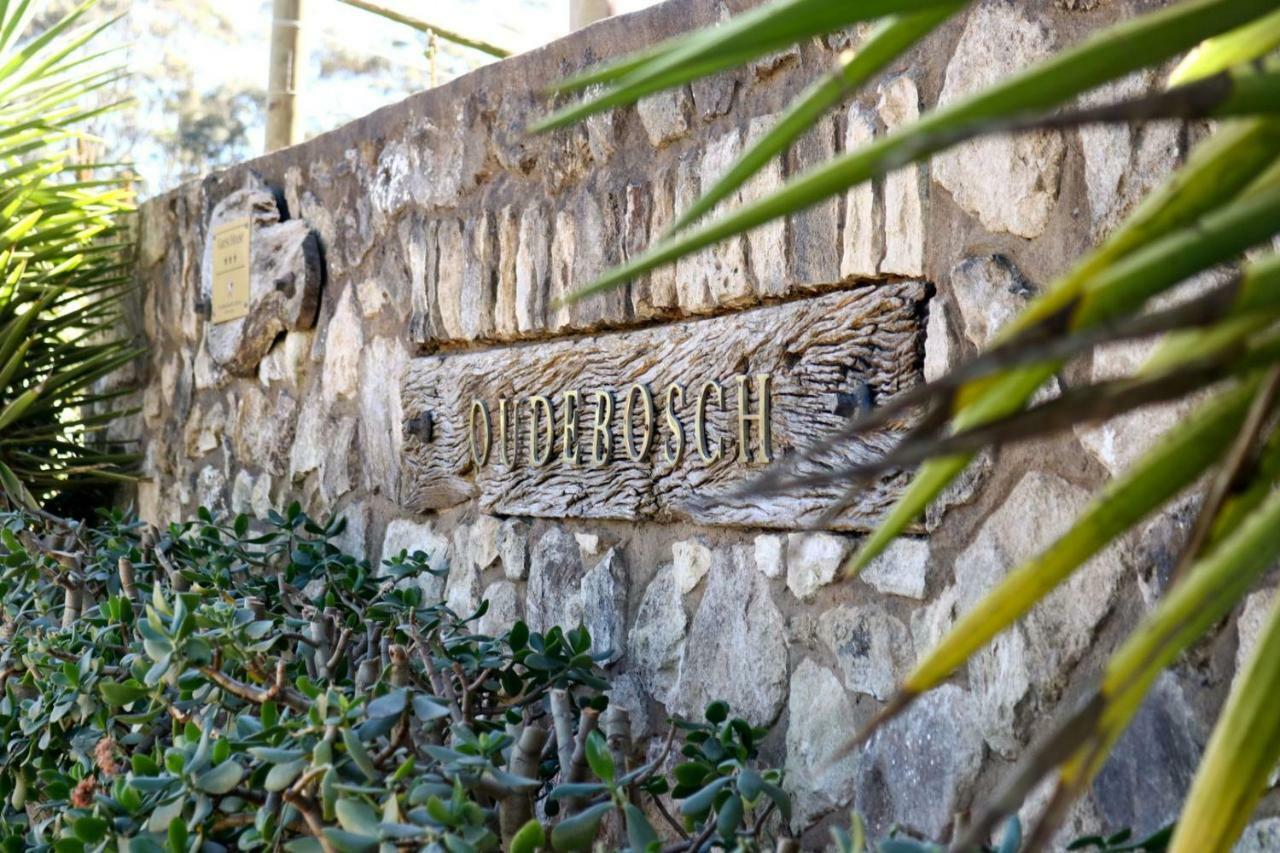 Oudebosch Mountain Lodge Riversdale Exterior foto